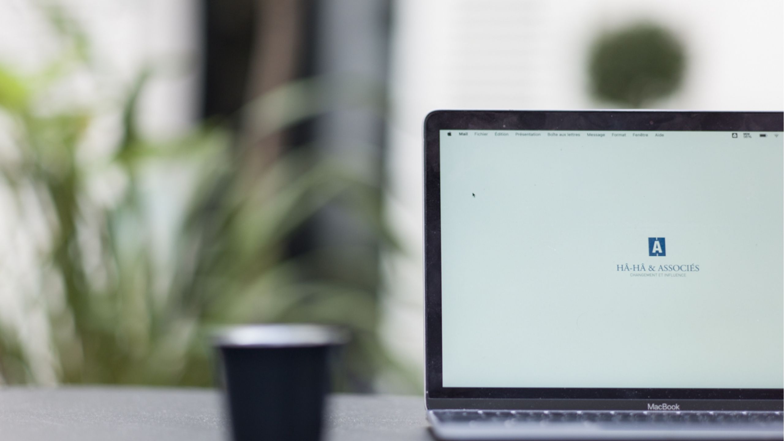 Histoire Ha Ha Associés